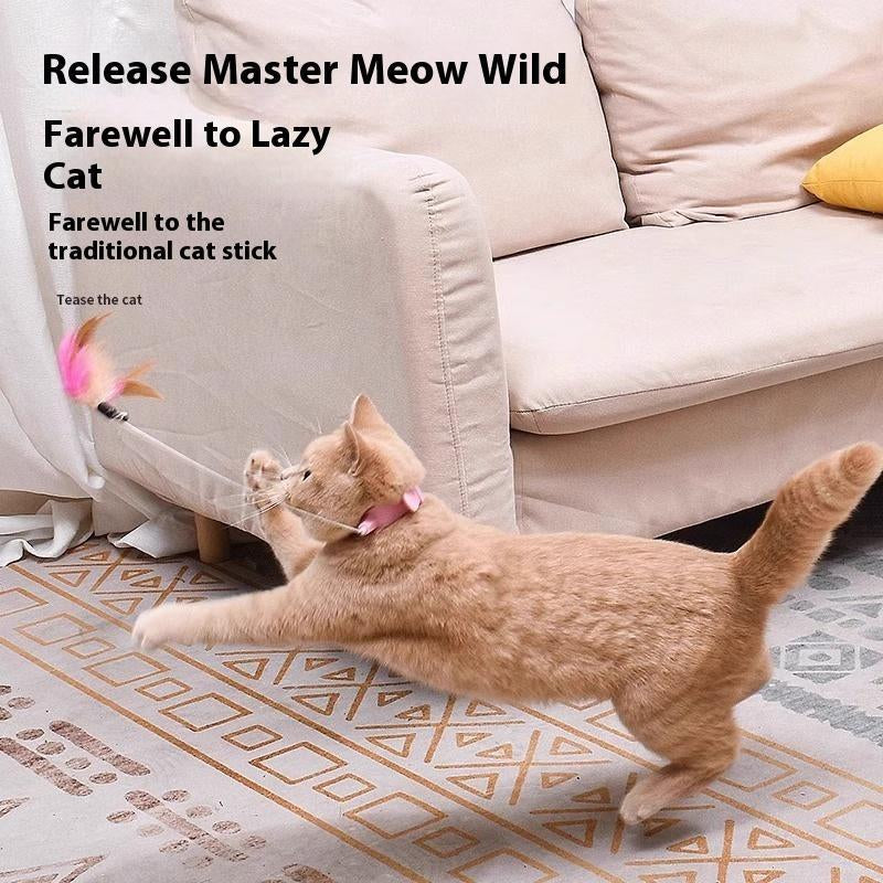 Cat Collar Toy,New Premium Teasing Wand,Cat Teaser, Cat Toys, Cat Stuff, Indoor Cat Accessories, Cat Interactive Toys