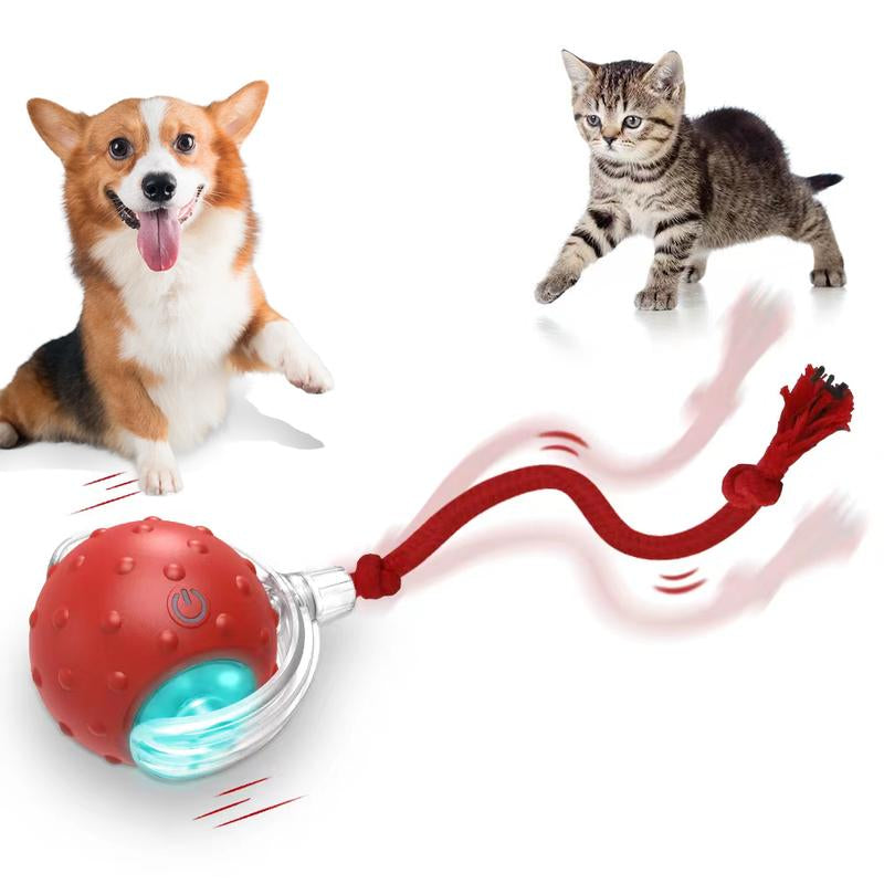 Depets Interactive Cat Toys Ball for Indoor Cats Fast Rolling on Carpet, Chirping & Motion Activate Cat Toys (Red) Toy Pet Interactive Toys