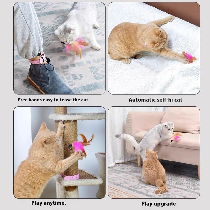 Cat Collar Toy,New Premium Teasing Wand,Cat Teaser, Cat Toys, Cat Stuff, Indoor Cat Accessories, Cat Interactive Toys