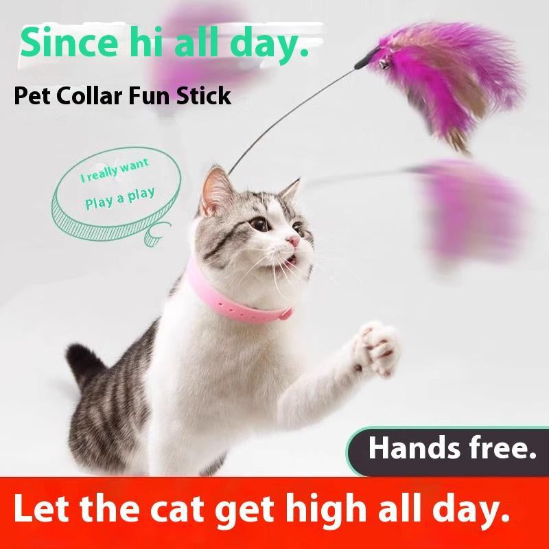 Cat Collar Toy,New Premium Teasing Wand,Cat Teaser, Cat Toys, Cat Stuff, Indoor Cat Accessories, Cat Interactive Toys