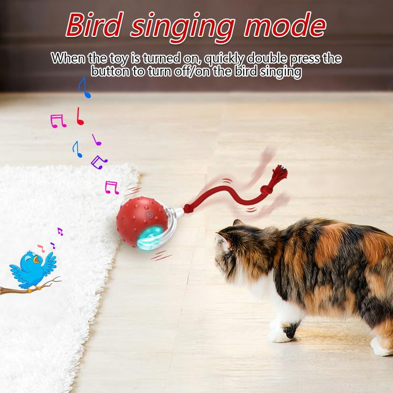 Depets Interactive Cat Toys Ball for Indoor Cats Fast Rolling on Carpet, Chirping & Motion Activate Cat Toys (Red) Toy Pet Interactive Toys