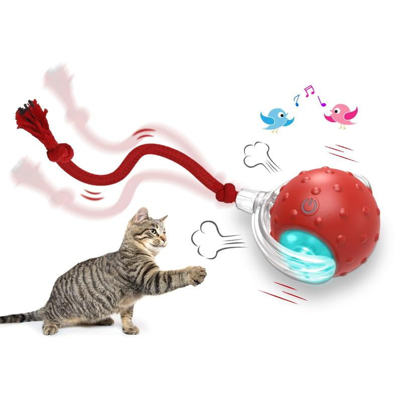Depets Interactive Cat Toys Ball for Indoor Cats Fast Rolling on Carpet, Chirping & Motion Activate Cat Toys (Red) Toy Pet Interactive Toys