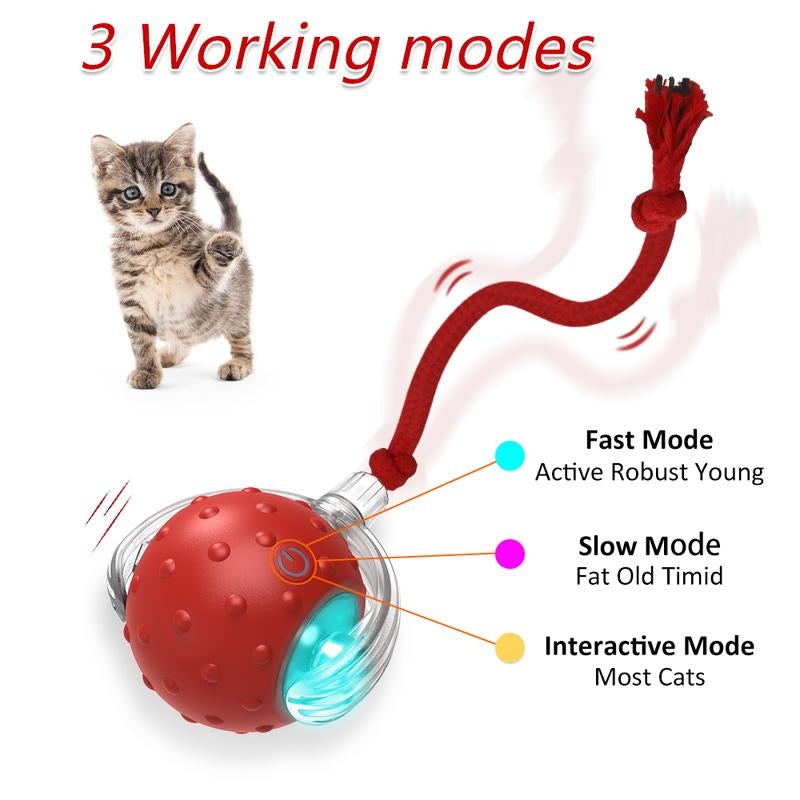 Depets Interactive Cat Toys Ball for Indoor Cats Fast Rolling on Carpet, Chirping & Motion Activate Cat Toys (Red) Toy Pet Interactive Toys