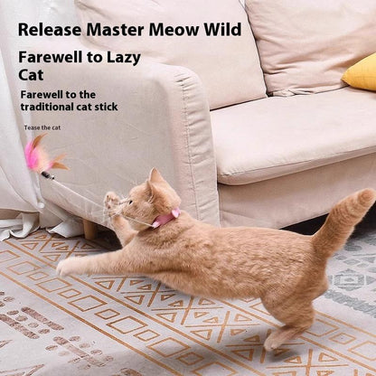 Cat Collar Toy,New Premium Teasing Wand,Cat Teaser, Cat Toys, Cat Stuff, Indoor Cat Accessories, Cat Interactive Toys