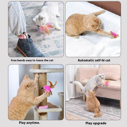 Cat Collar Toy,New Premium Teasing Wand,Cat Teaser, Cat Toys, Cat Stuff, Indoor Cat Accessories, Cat Interactive Toys