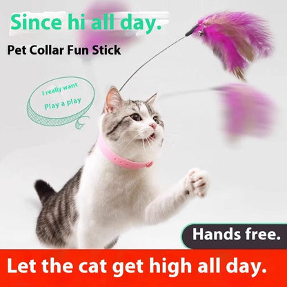 Cat Collar Toy,New Premium Teasing Wand,Cat Teaser, Cat Toys, Cat Stuff, Indoor Cat Accessories, Cat Interactive Toys
