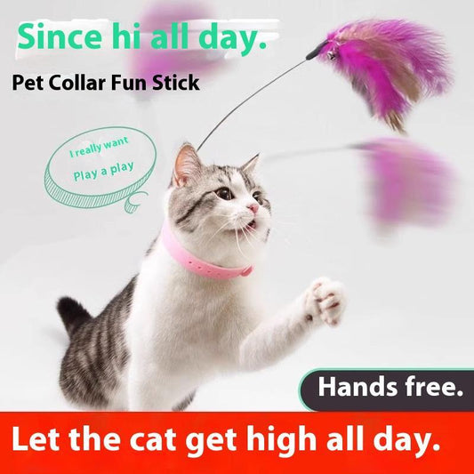 Cat Collar Toy,New Premium Teasing Wand,Cat Teaser, Cat Toys, Cat Stuff, Indoor Cat Accessories, Cat Interactive Toys