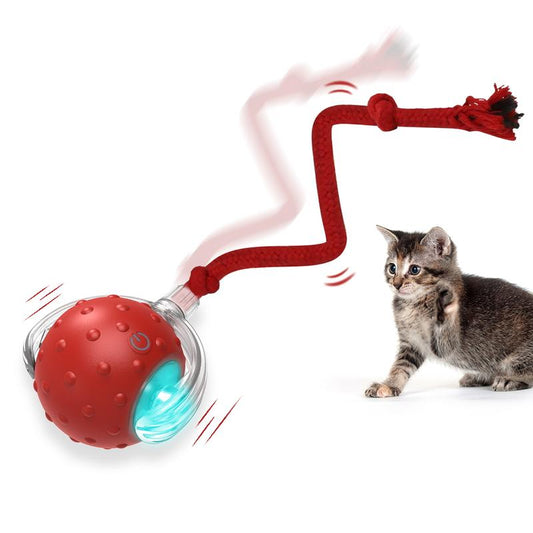 Depets Interactive Cat Toys Ball for Indoor Cats Fast Rolling on Carpet, Chirping & Motion Activate Cat Toys (Red) Toy Pet Interactive Toys